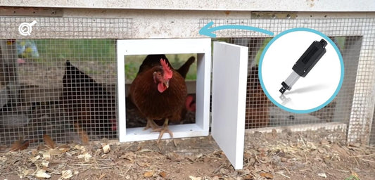 DIY Automatic Chicken Coop Door by April Wilkerson